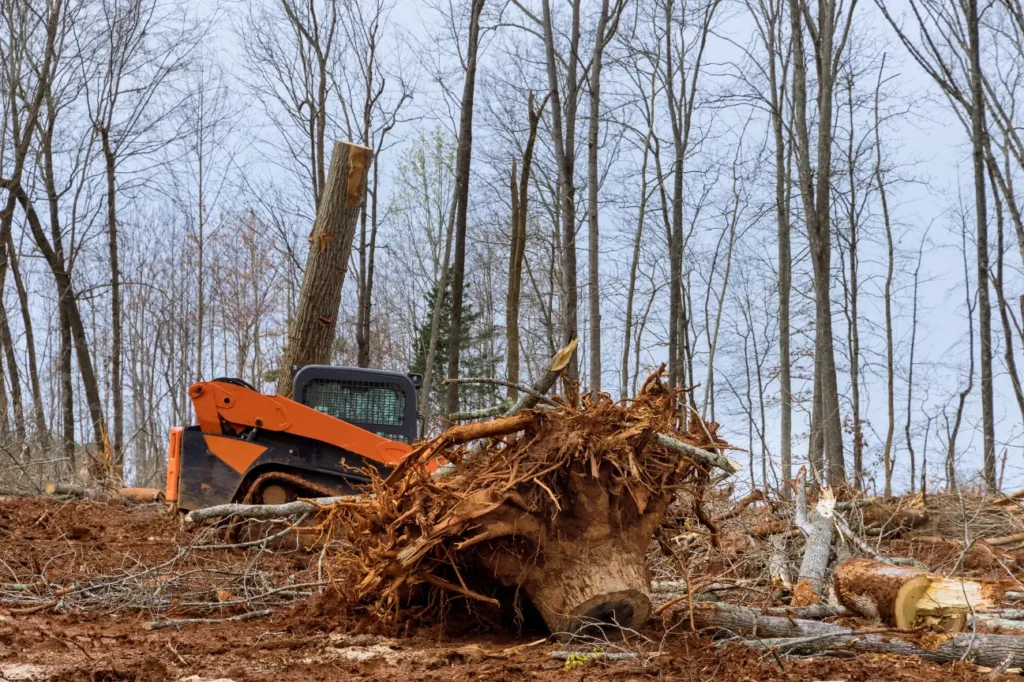 At Site Clearance West Auckland, we do site work for residential and commercial projects, delivering reliable results every time.