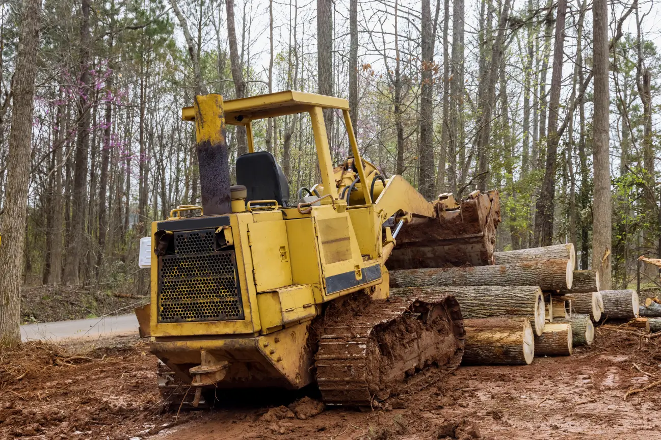 At Site Clearance West Auckland, we do tree removal services to safely clear vegetation and prepare land for new development.